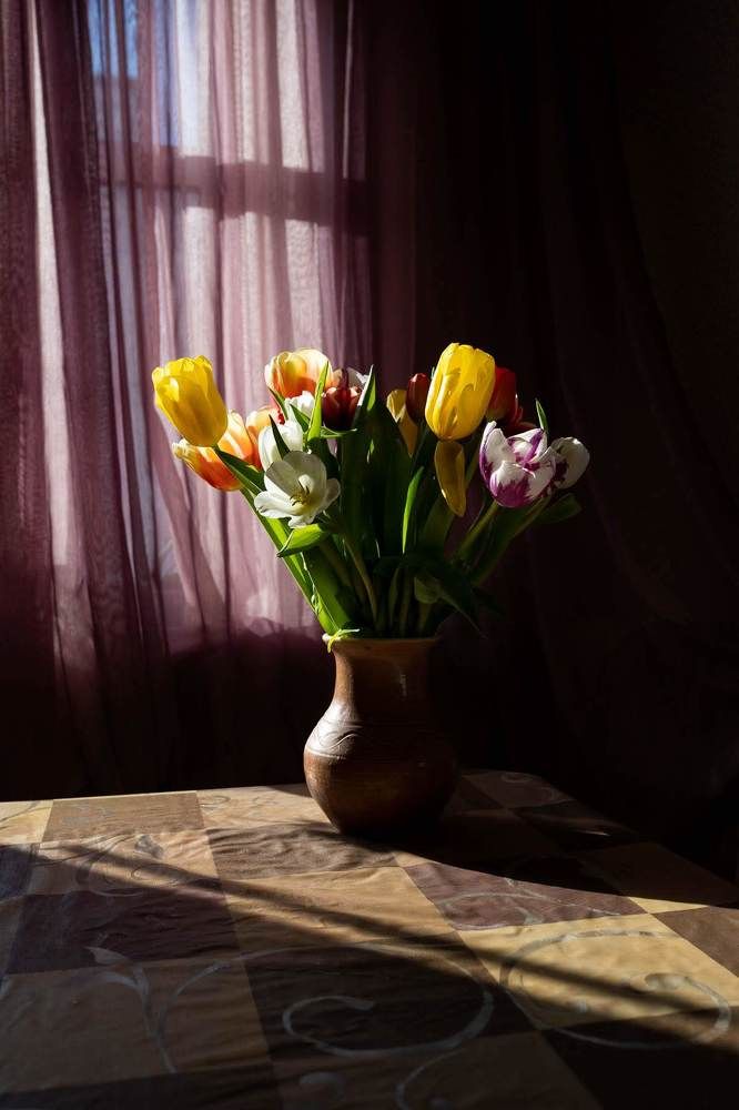 Photograph by Юлия Ефимова