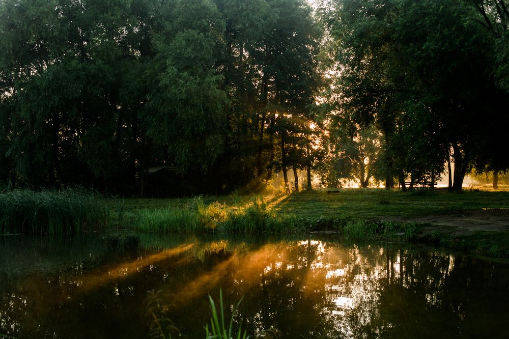 Photograph by Елена Саливон