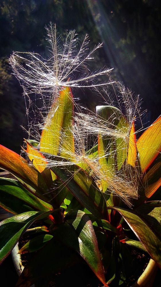 Photograph by Наталья Рау