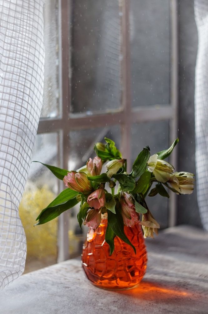 Photograph by Наталья Шленкина