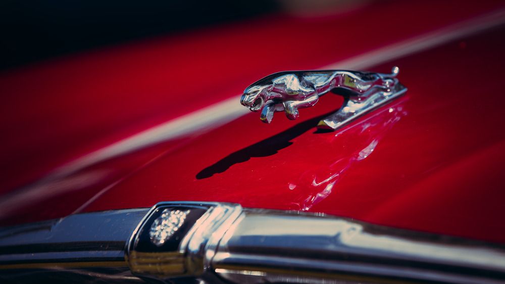 Photograph by Wiktor Kulesa