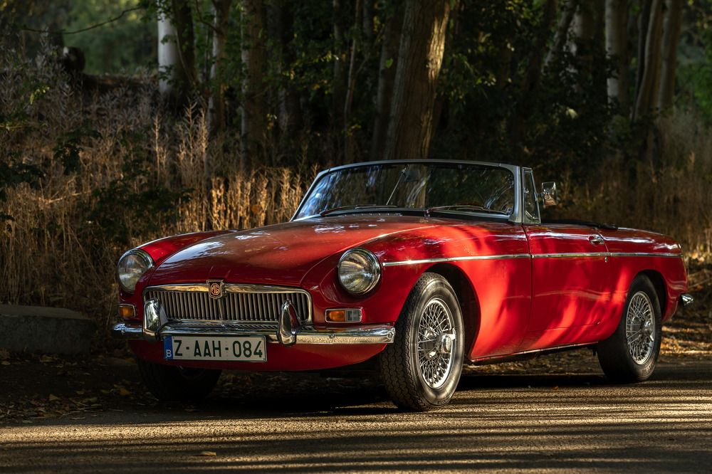 Photograph by Wiktor Kulesa