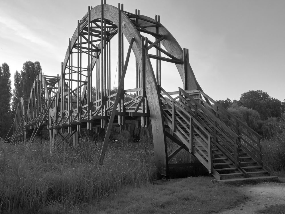 Photograph by Дарья Дмитриева
