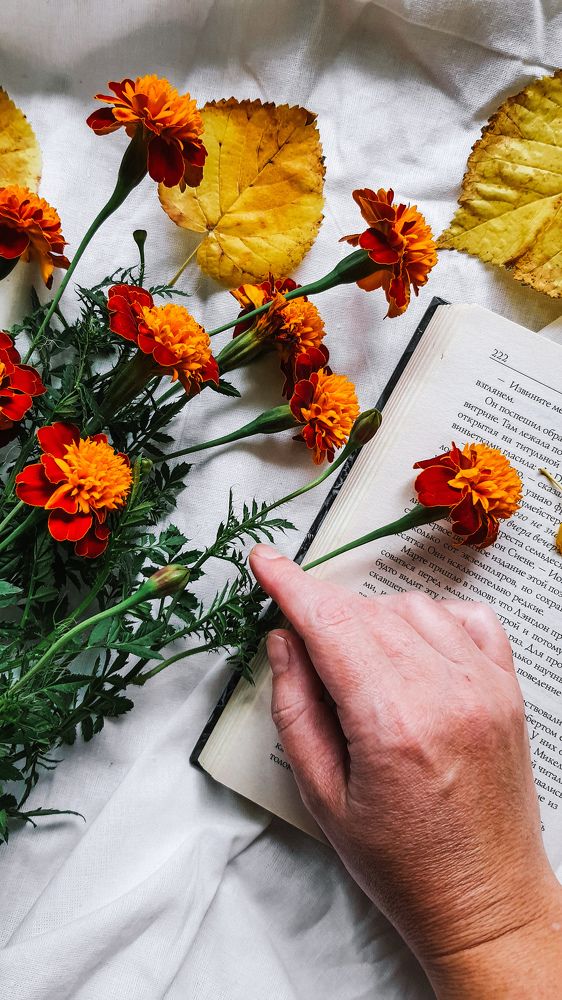 Photograph by Екатерина Мурсынина