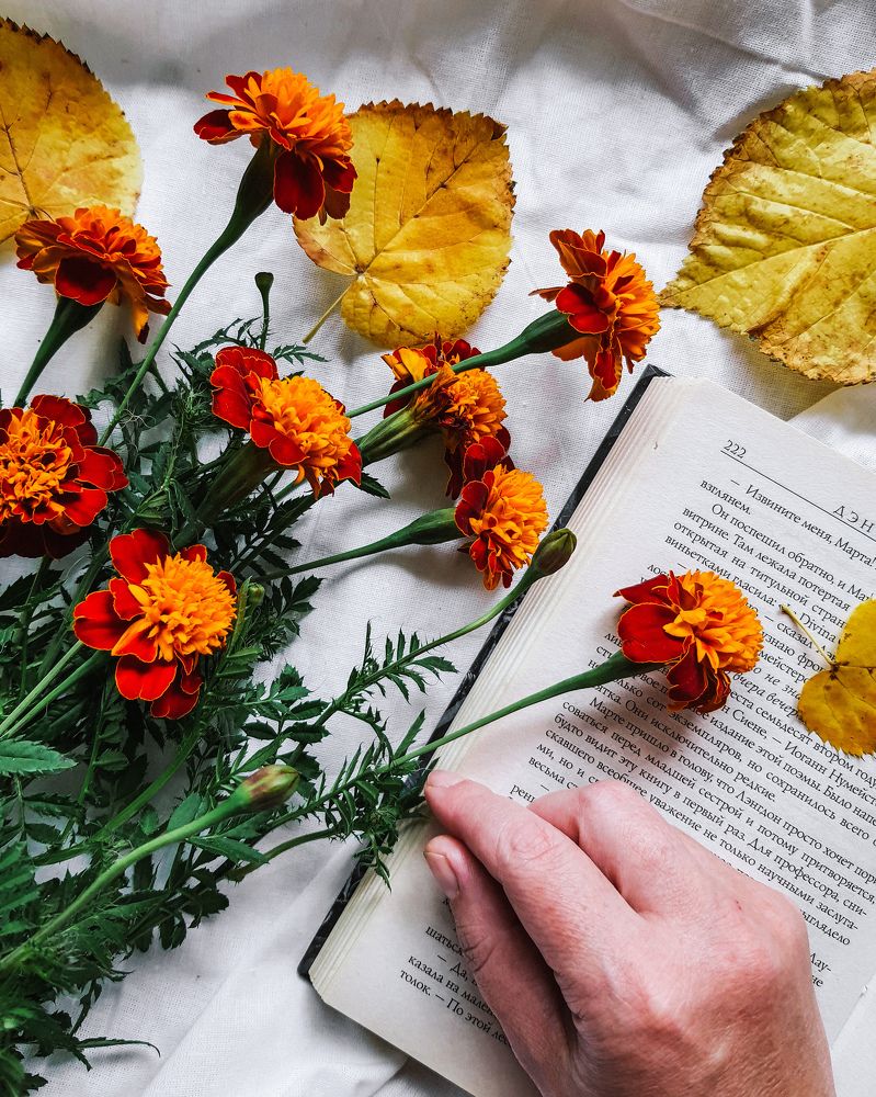 Photograph by Екатерина Мурсынина