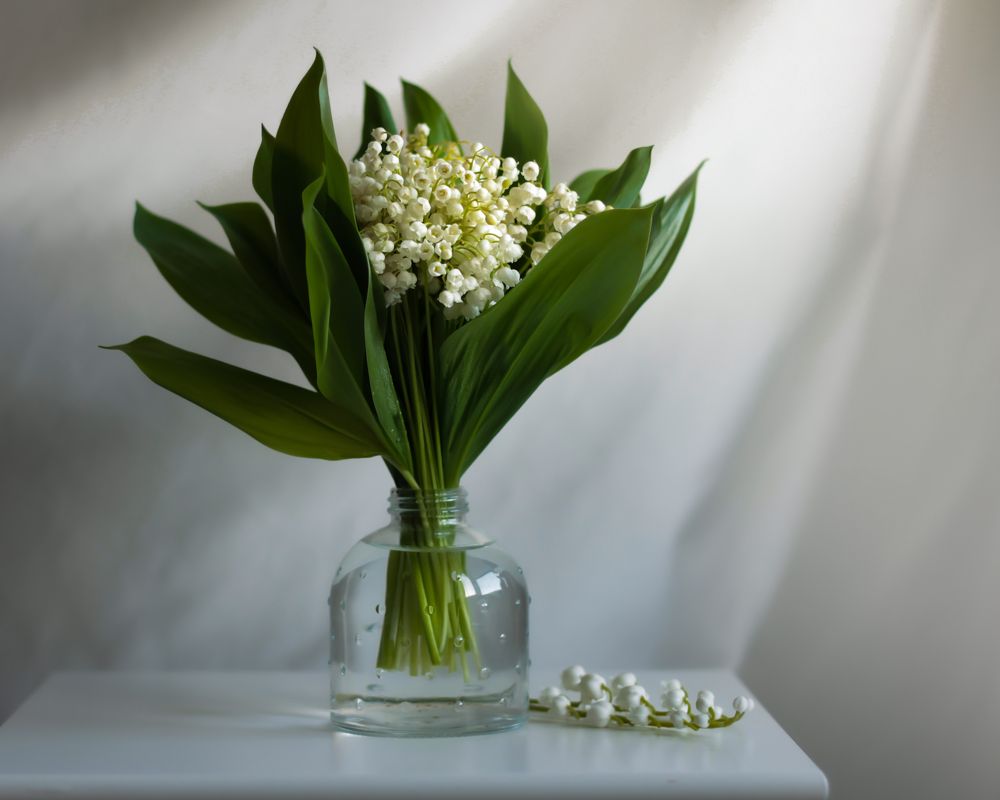 Photograph by Татьяна Кравченко