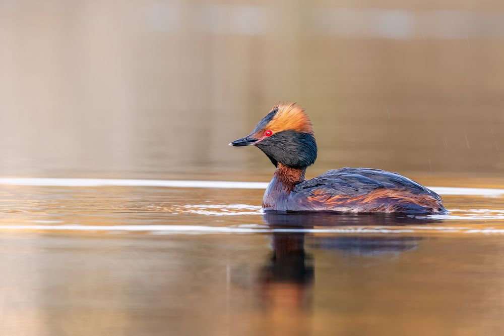 Photograph by Bharath Srinivasan