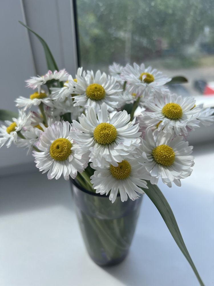 Photograph by Ирина Леванова