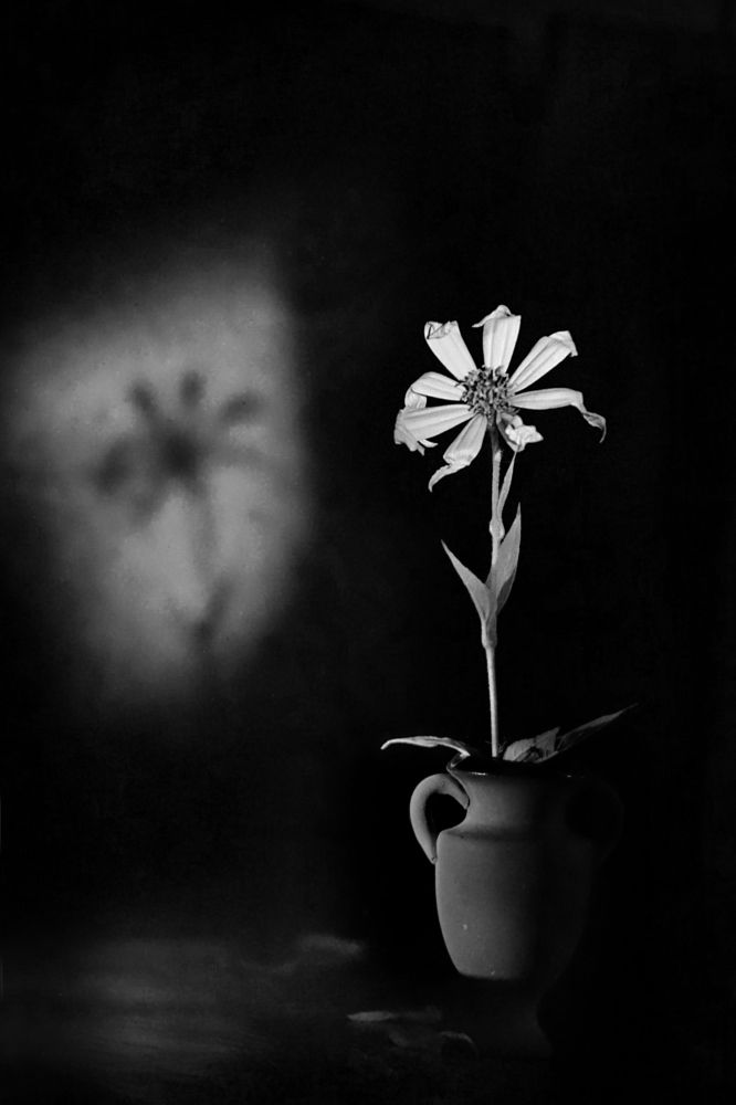 Photograph by Ольга Пуховникова