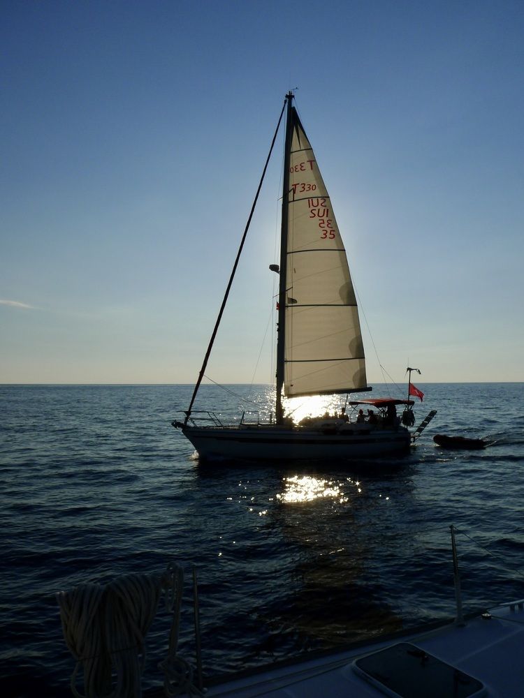 Photograph by Ольга Одаренко