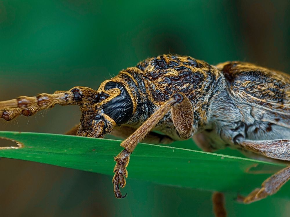 Photograph by Mohammed thbliq Azman