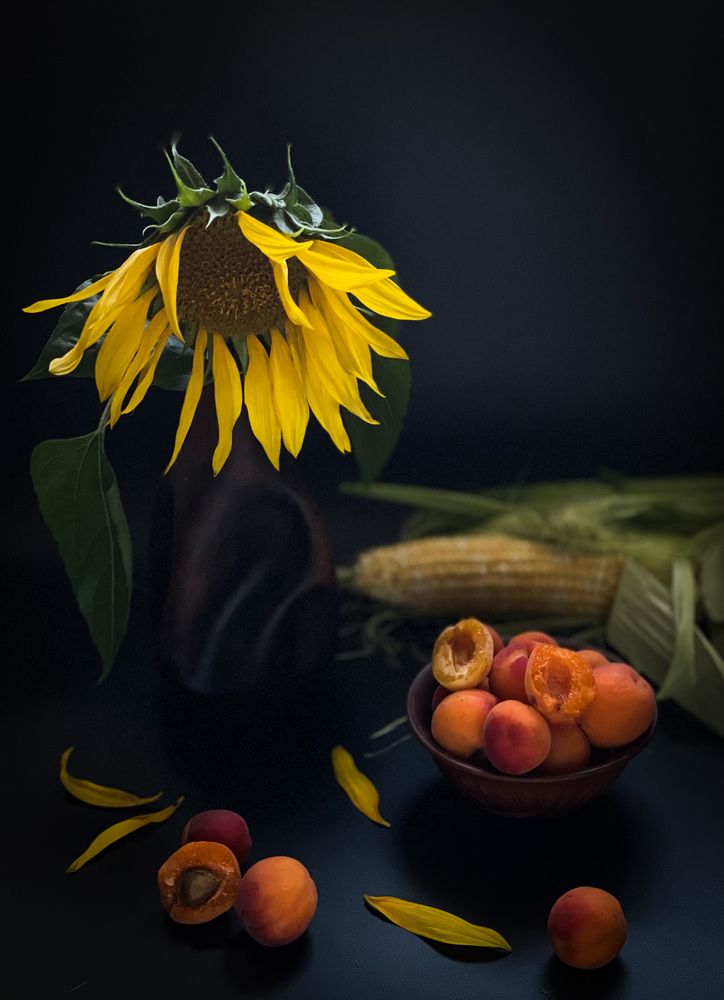 Photograph by Людмила Казак