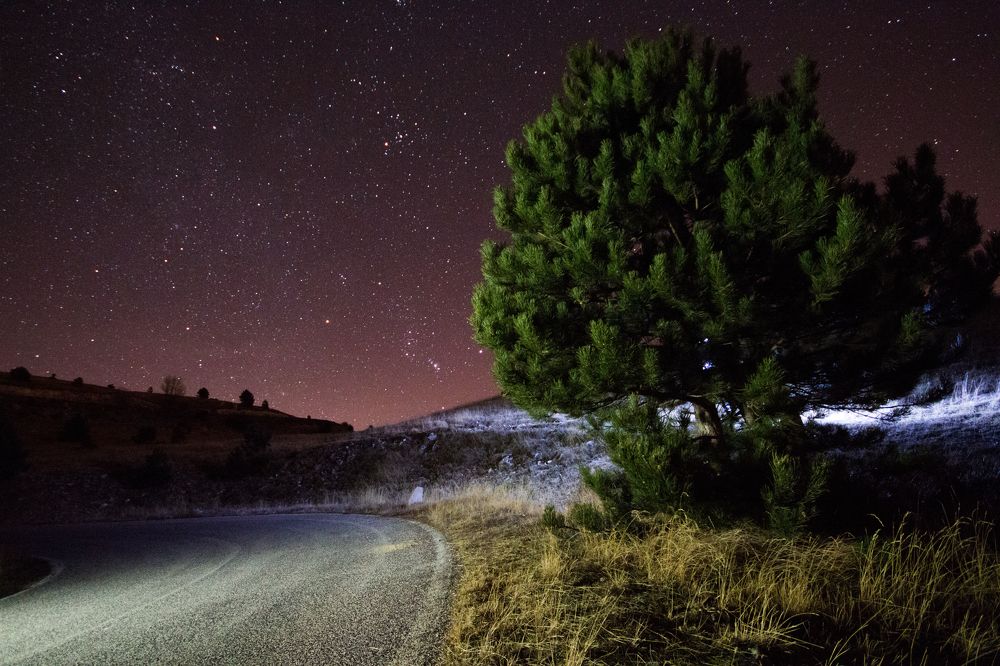 Photograph by Andrea Frullini