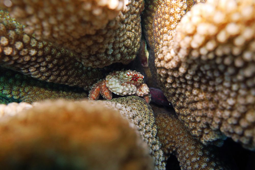 Photograph by Quyen Pham