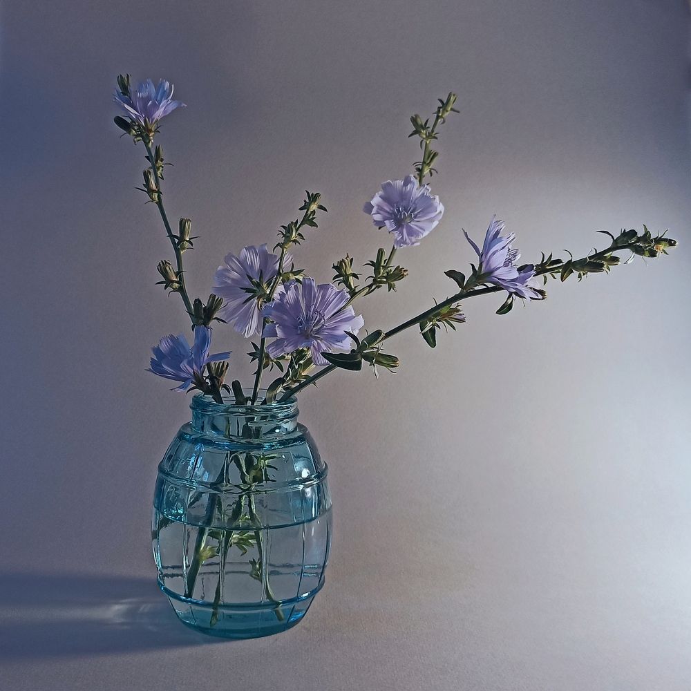 Photograph by Наталия Степанова