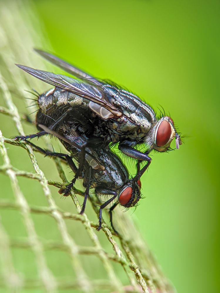 Photograph by Utpal Roy