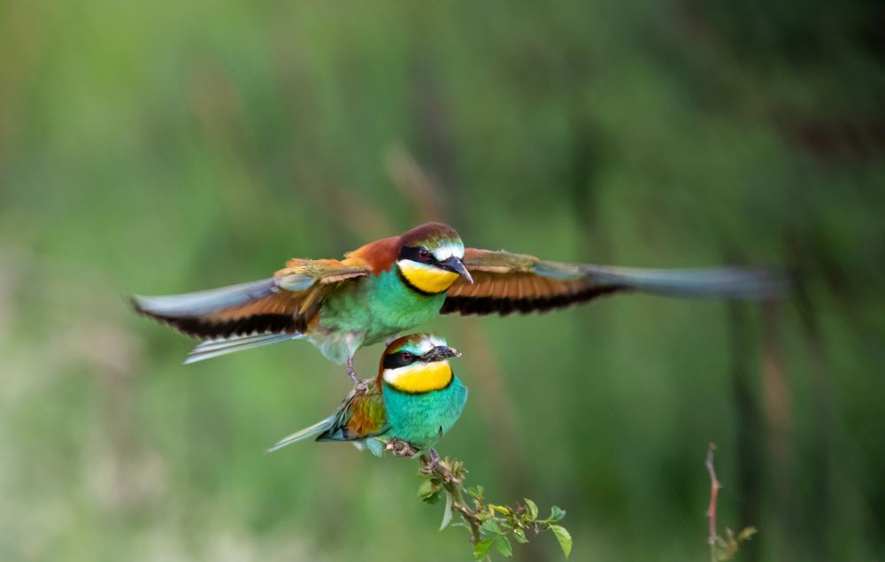 Photograph by George Alexandru Ghiuro