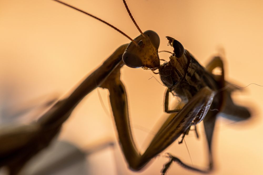 Photograph by George Alexandru Ghiuro