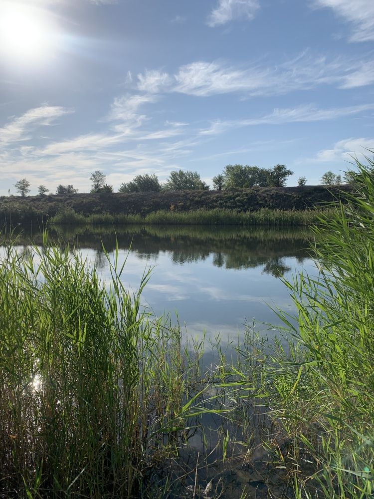 Photograph by Анастасия Мангольд