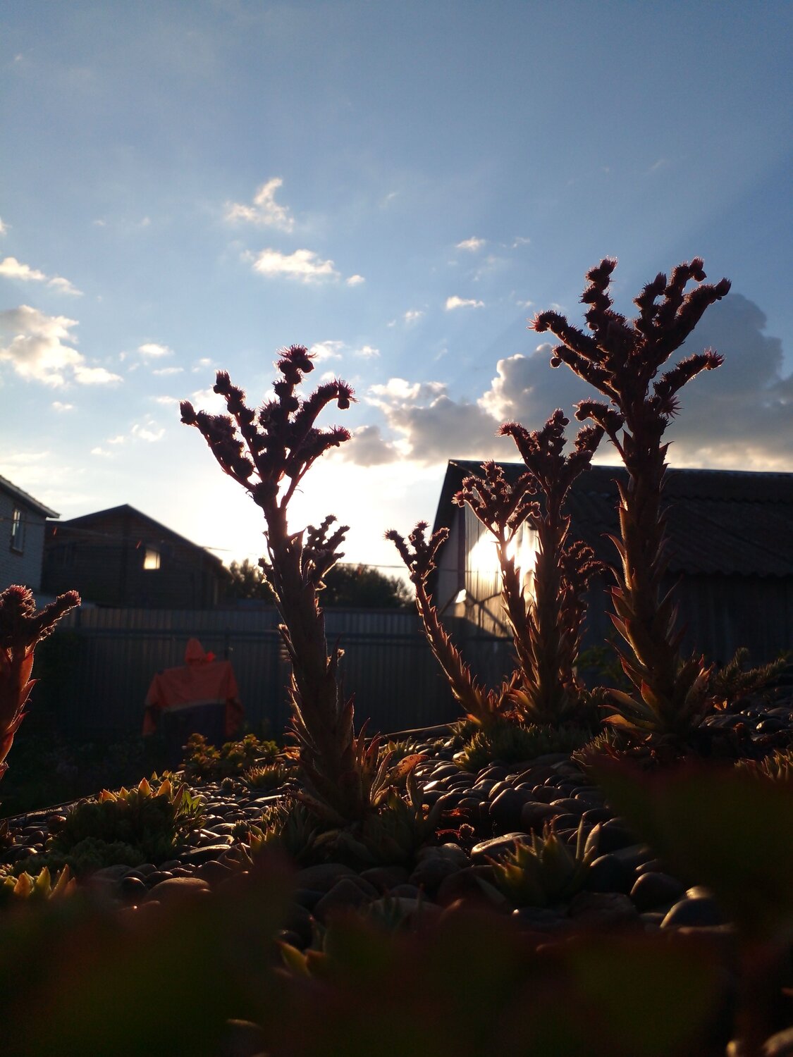 Photo #7907661