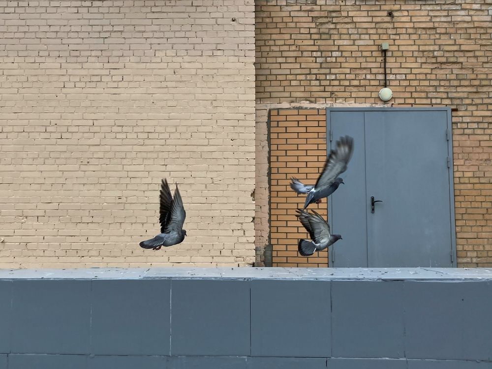 Photograph by Виктория Горельченко