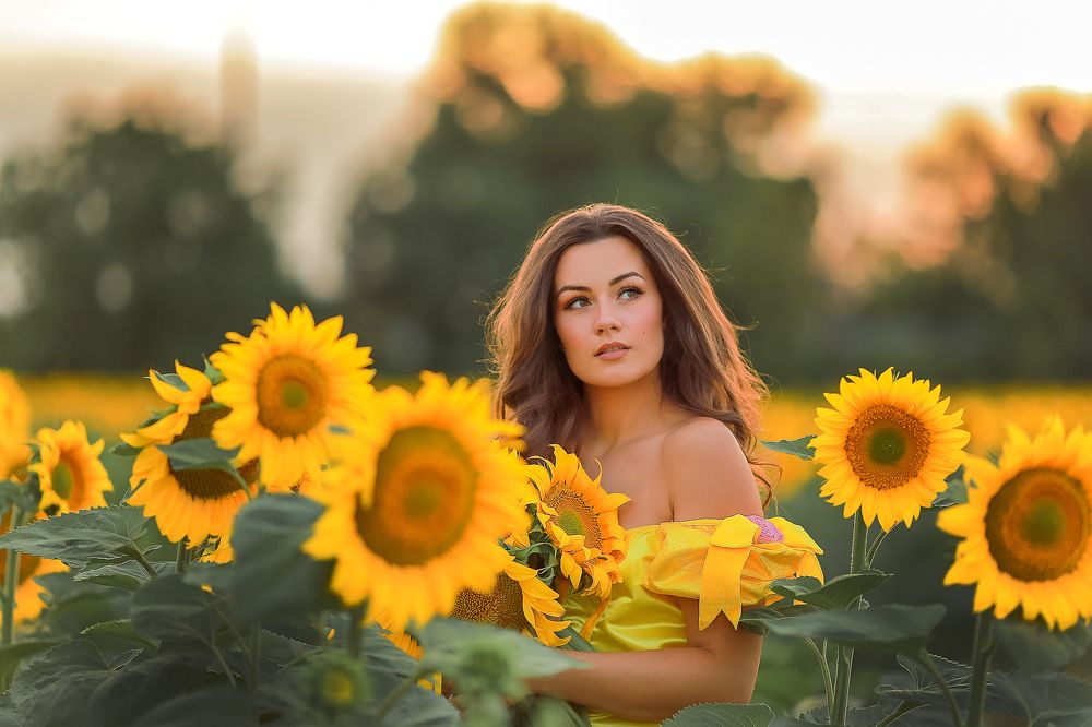 Sunflower girl
