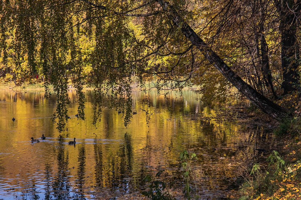 Photograph by Виктор