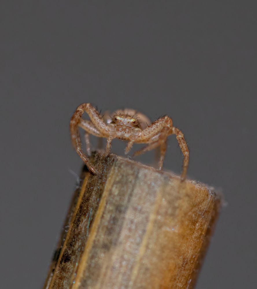 Photograph by George Alexandru Ghiuro