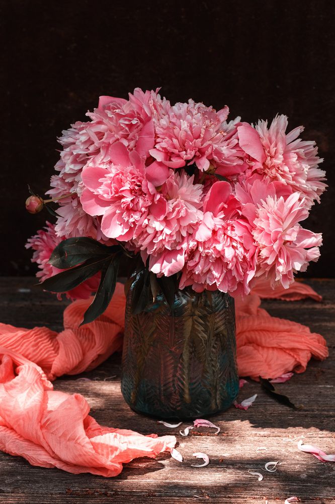 Photograph by Екатерина Фокина