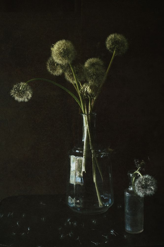 Photograph by Екатерина Фокина