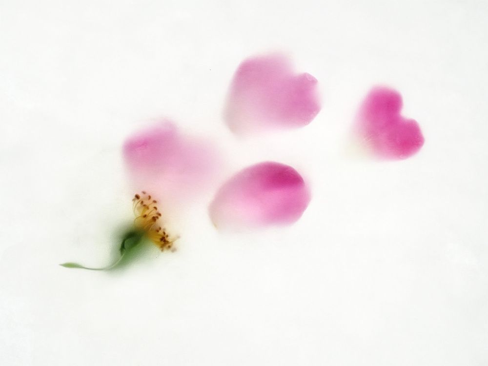 Photograph by Елена Харитонова