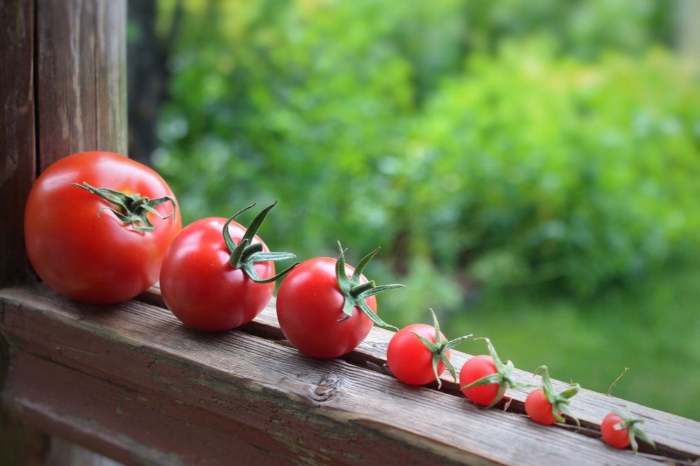 Фотография автора Тамара Караваева