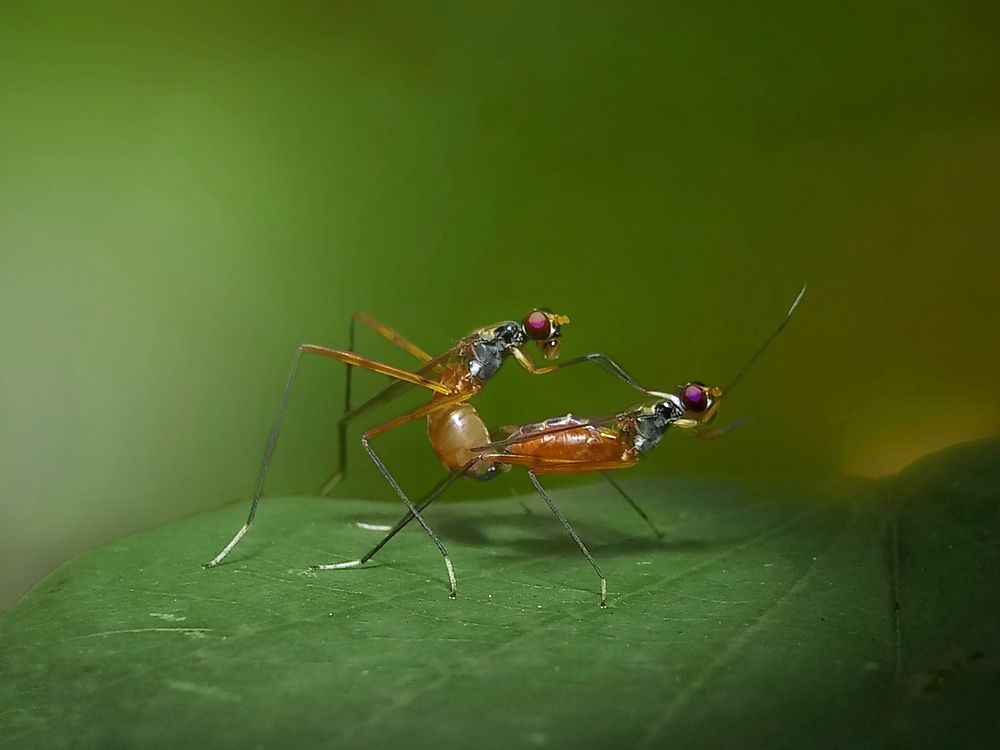 Photograph by Subhanil Chaki