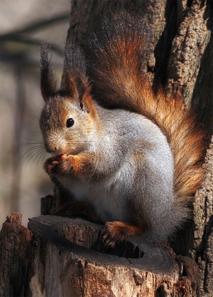 Photograph by Елена Харитонова