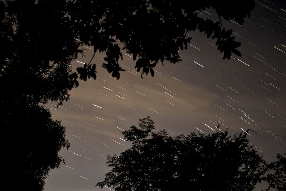 Photograph by Ritam Biswas