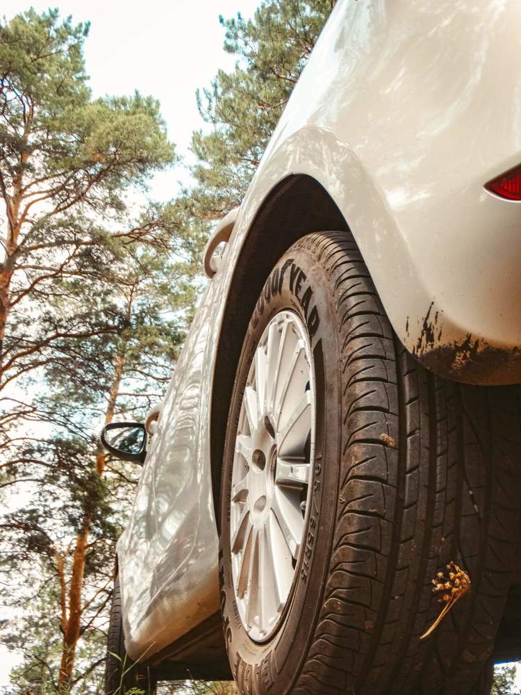 Photograph by Анжелика Трошина