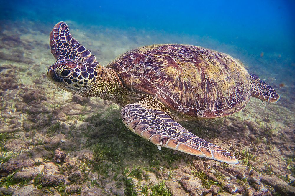 Photograph by Руслан Орлов