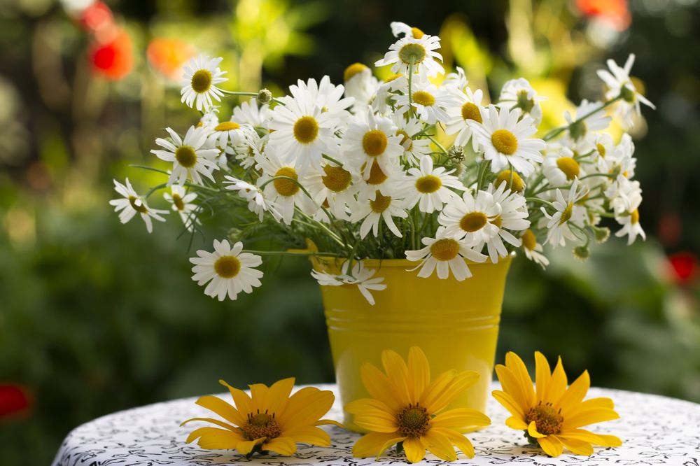 Photograph by даша ващенко