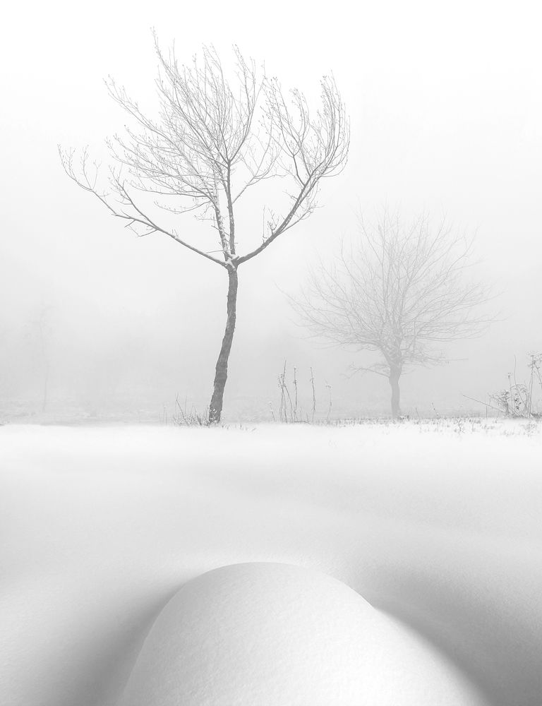 Фотография автора Hosein Davoodi