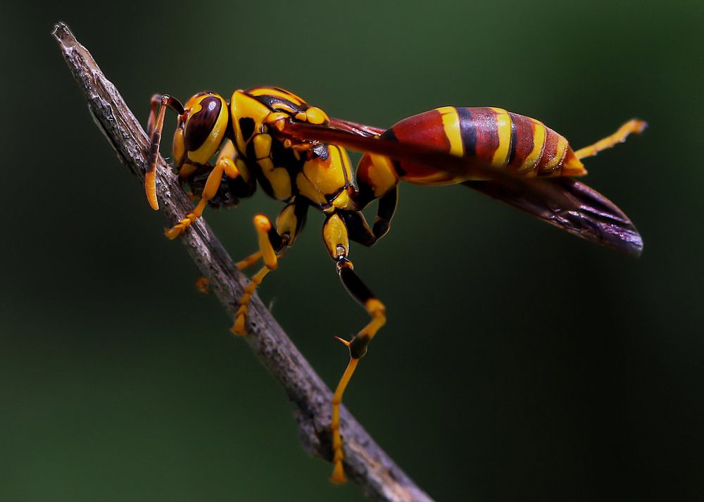 Photograph by Frank cobo blanco