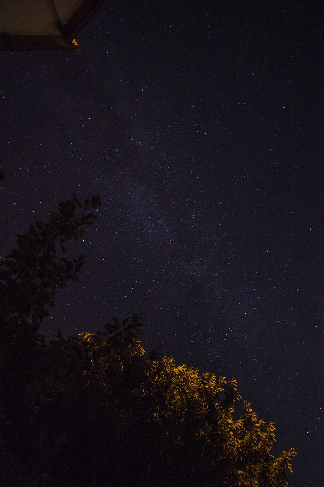 Photograph by iliya levkov