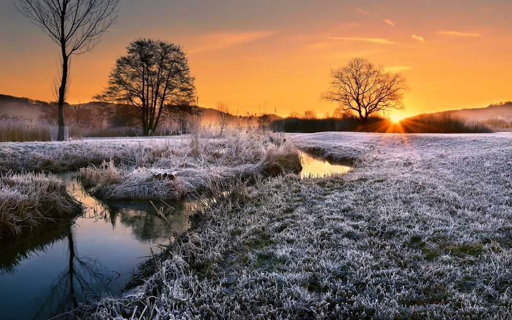 Photograph by Elena Wymann