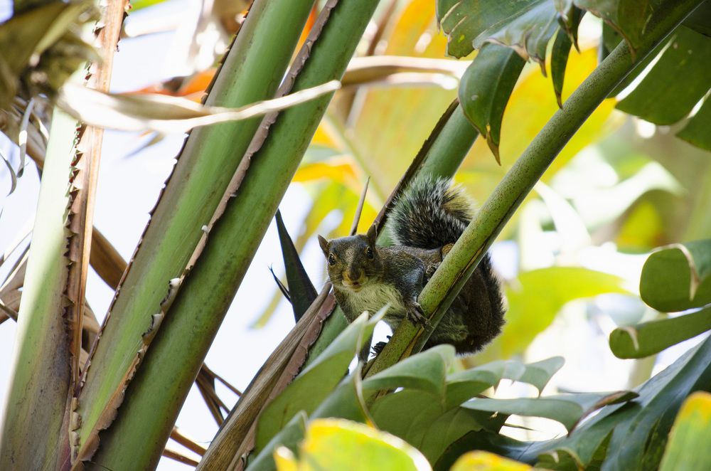 Photograph by Angelisa Gonzalez