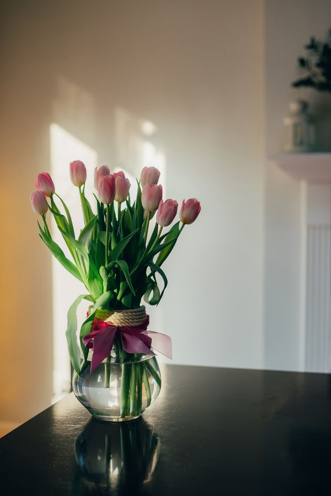 Photograph by Anna Vlasova