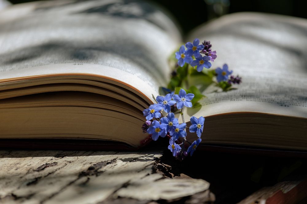 Photograph by Алексей Баженов