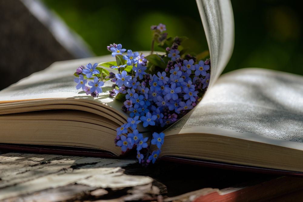 Photograph by Алексей Баженов