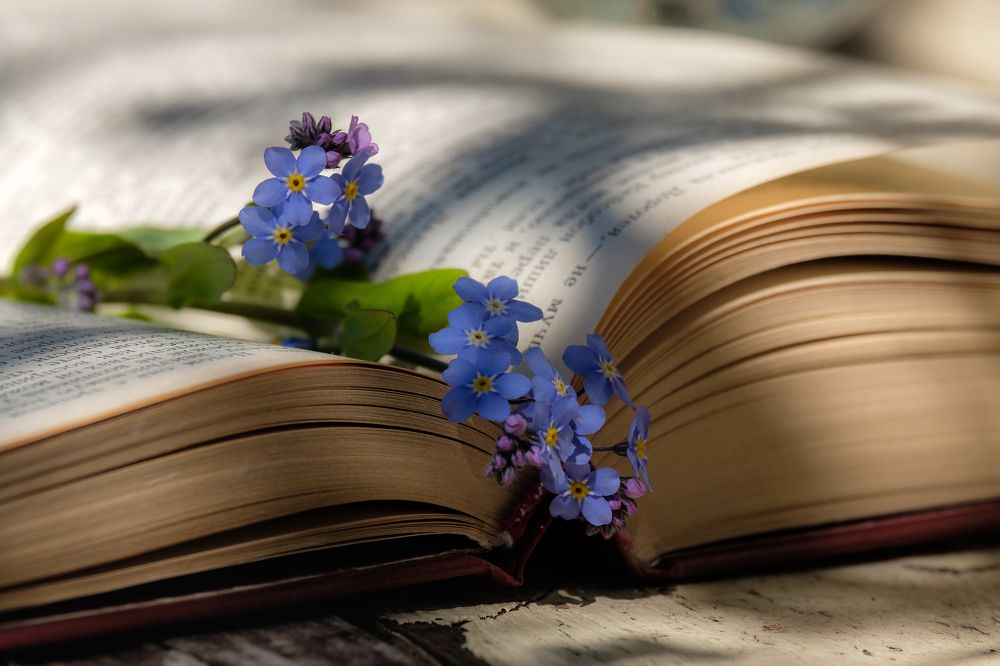 Photograph by Алексей Баженов