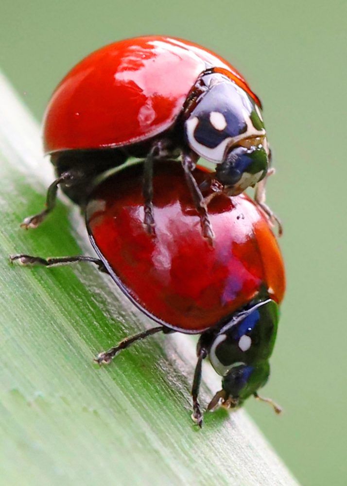 Photograph by Frank cobo blanco