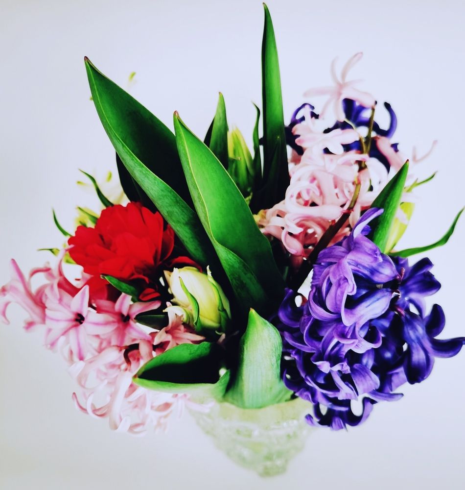 Фотография автора Rafa