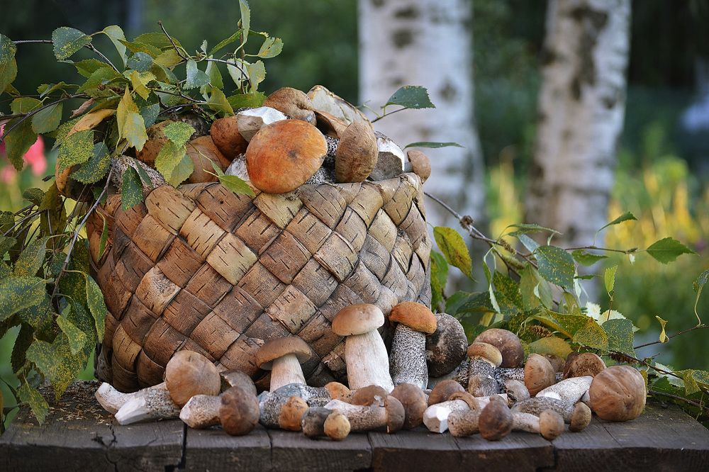 Photograph by Соколова Елена